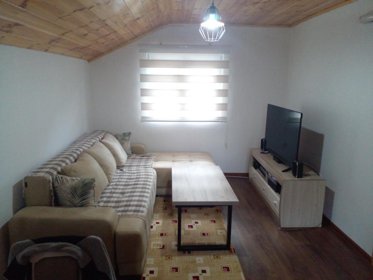 Apartman Branko 科拉欣 外观 照片