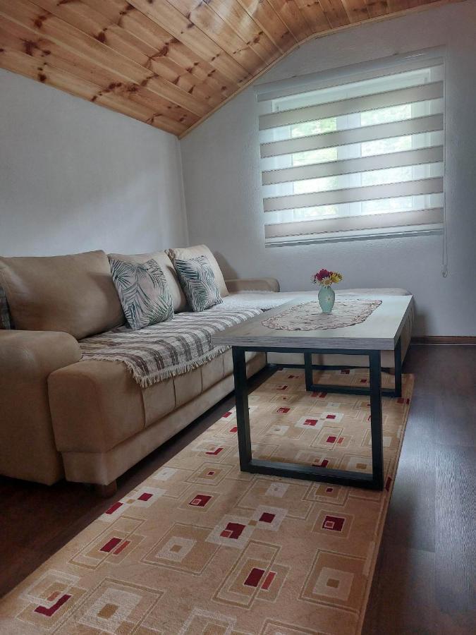 Apartman Branko 科拉欣 外观 照片